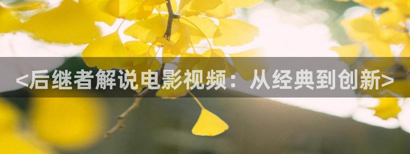 4080新视觉影院大全：<后继者解说电影视频：从经典到创新>