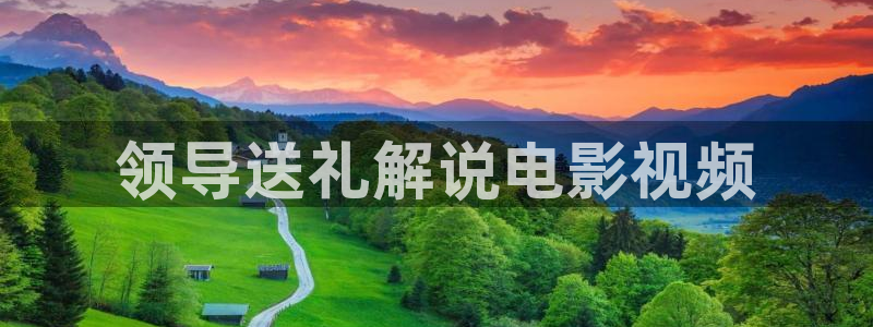 新视觉8090高清频道：领导送礼解说电影视频