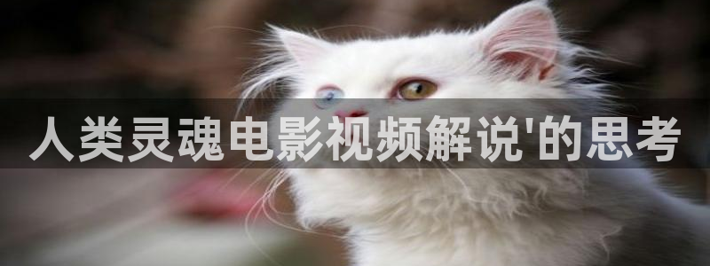 6080新视觉未来：人类灵魂电影视频解说\'的思考