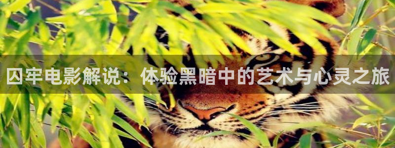yy6080新视觉影院网：囚牢电影解说：体验黑暗中的艺术与心灵之旅