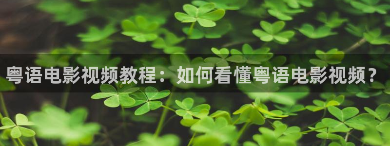 新视觉6080电视剧在线观看：粤语电影视频教程：如何看懂粤语电影视频？