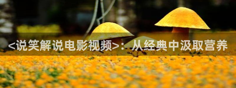 新视觉午夜影院