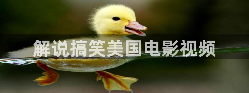 新视觉影片在线观看：解说搞笑美国电影视频