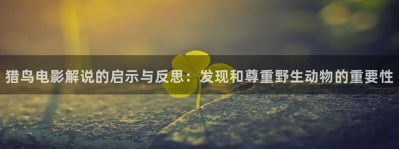 4410新视觉影视